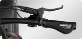 Mokwheel Basalt S/T 48V 750W Electric Bike