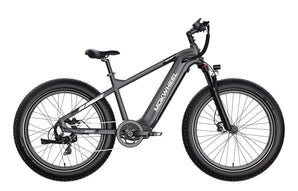 Mokwheel Basalt 48V 750W
