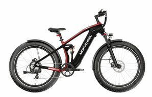 Mokwheel Obsidian 48V 1000W